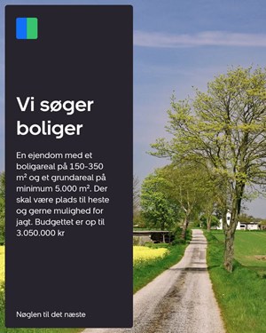 opslagsbillede