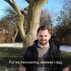 Opslagsbillede