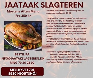 opslagsbillede
