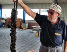Hvordan starter vi en havhave? Foredrag i Nykøbing Sj.