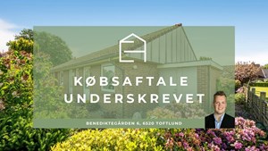 opslagsbillede