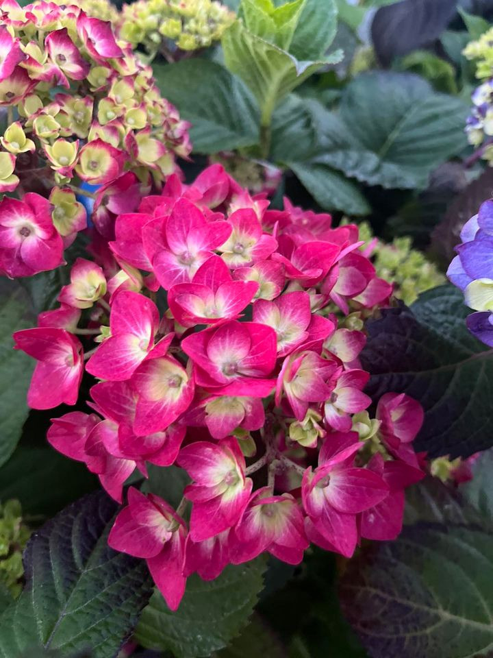 Hold trit med lokalområdet: Nyt fra Horsens