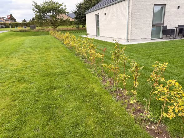 BP GreenGarden ordner havearbejde