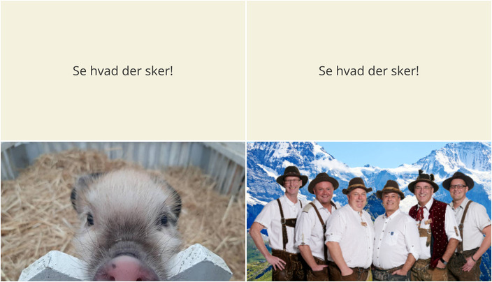 Begivenhedsrig weekend i Hobro venter: Grisefortællinger og Bierfest