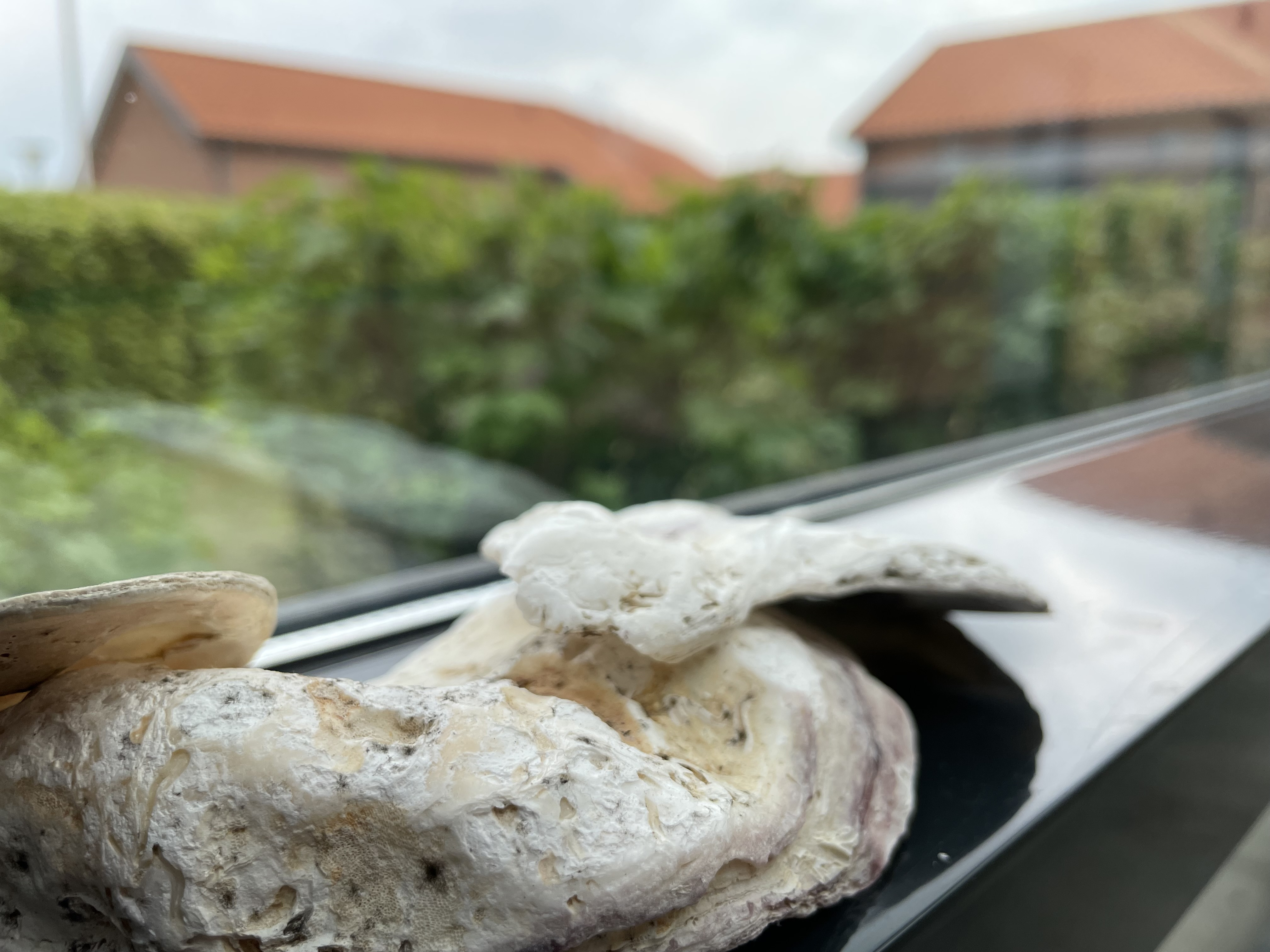 Invitation til dialogaftener