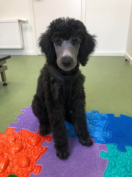 Hold trit med lokalområdet: Nyt fra Herning