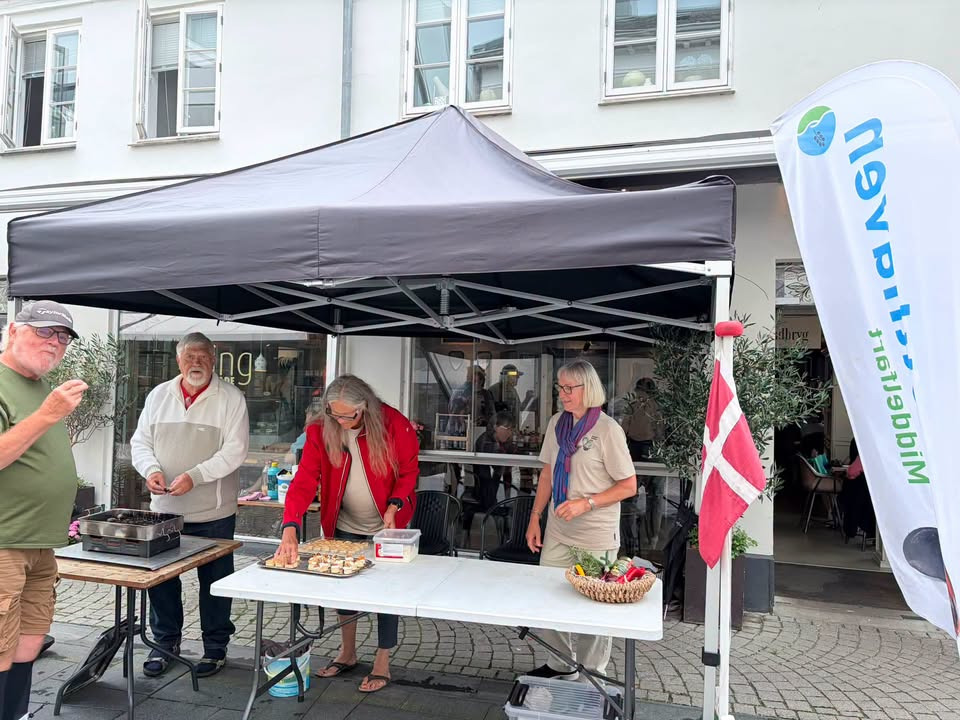 Oplev havets skatte på Lilletorv i Middelfart
