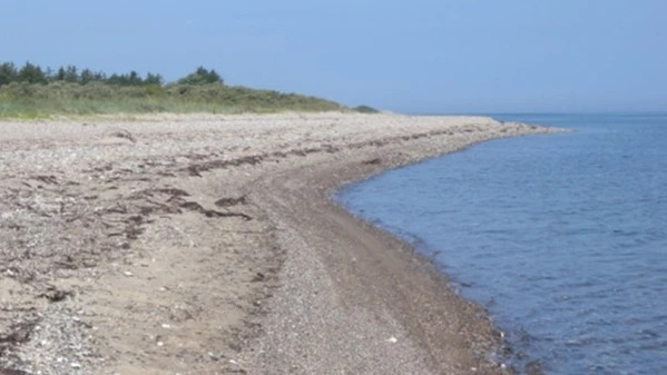 Lemvig Kommune advarer mod badning ved Remmerstrand strand efter fund af bakterier i badevandet