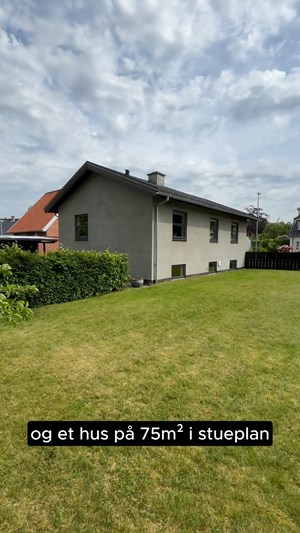opslagsbillede