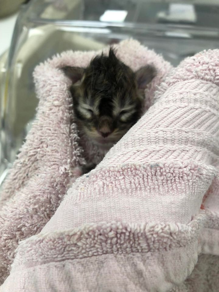 Opdatér dig her: Det nyeste fra Herning