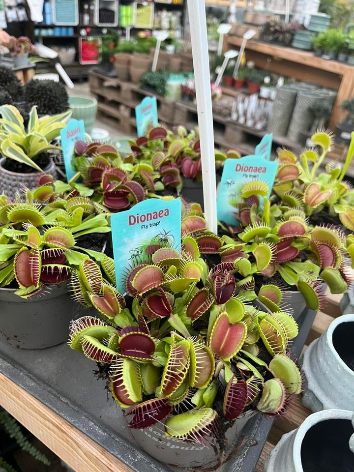 Opdatér dig her: Det nyeste fra Odder