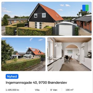 Opslagsbillede