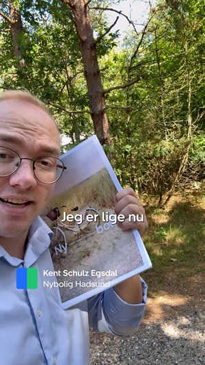 opslagsbillede