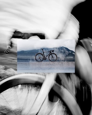 opslagsbillede