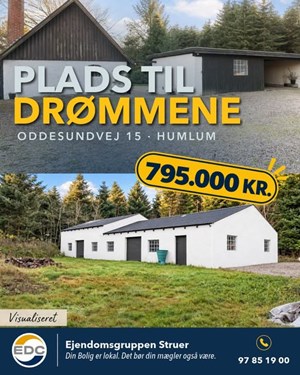 opslagsbillede