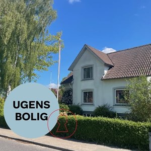 Opslagsbillede