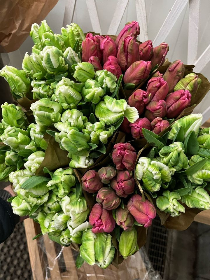 Hold trit med lokalområdet: Nyt fra Odder