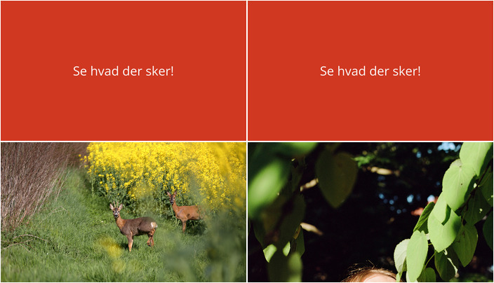 Oplev en fortryllende weekend i Ejby: Gastronomi og litteratur