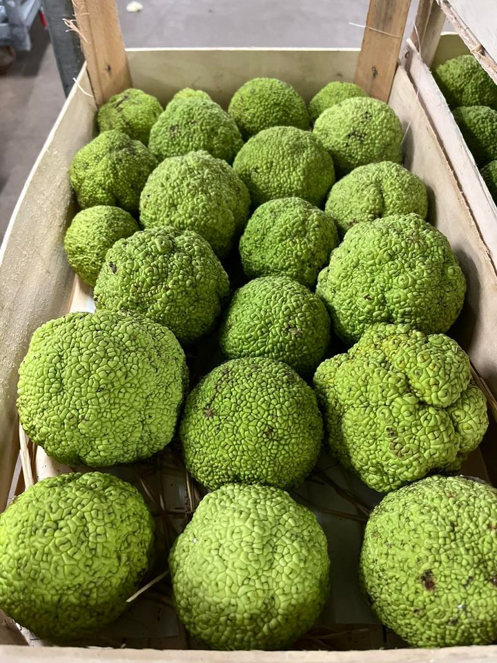 Hold trit med lokalområdet: Nyt fra Odder