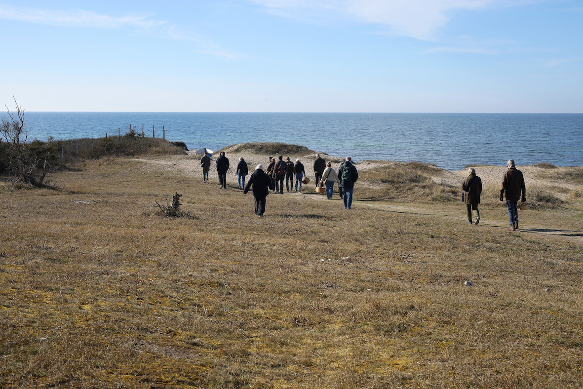 Oplev vilde spiselige planter ved Moesgård Strand