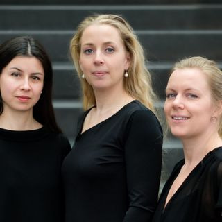Steinaa Trio bringer klassisk musik til Roskilde