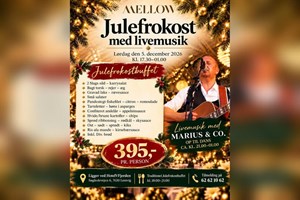 opslagsbillede
