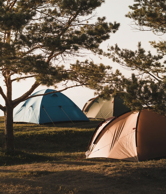 De udenlandske turister er tilbage i Hirtshals