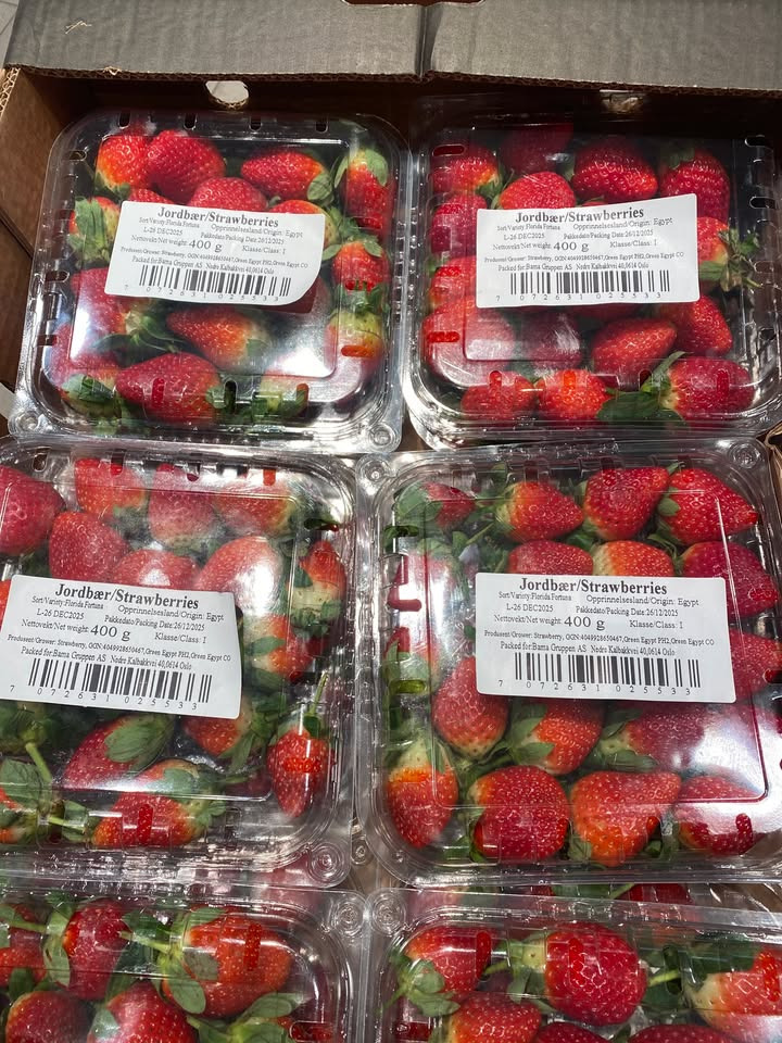 Løvbjerg Frederikshavn tilbyder jordbær til specialpris i dag