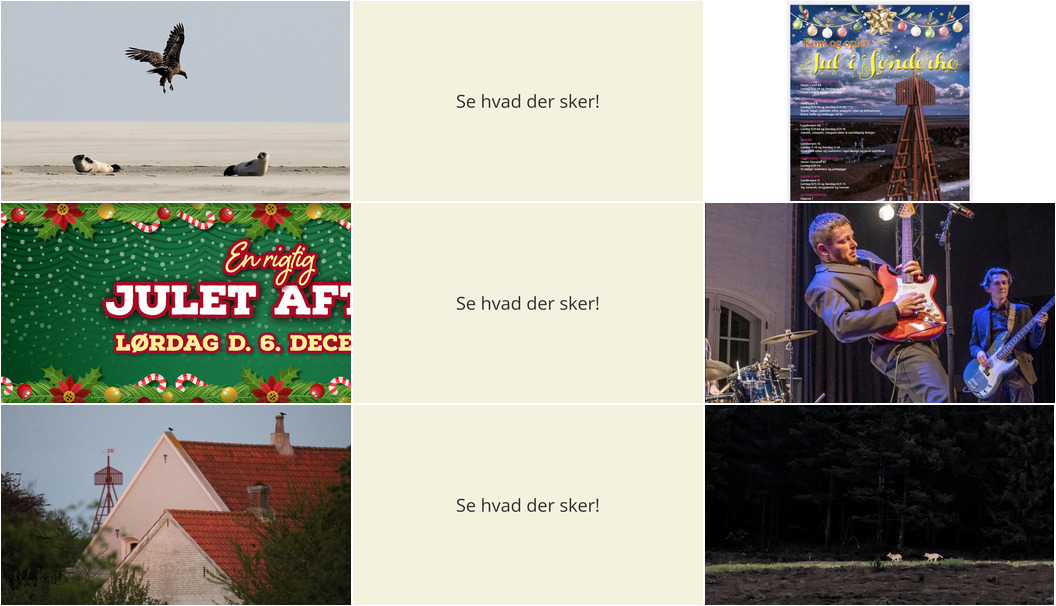 Oplev Fanøs magi: Fra sælsafari til julestemning denne weekend