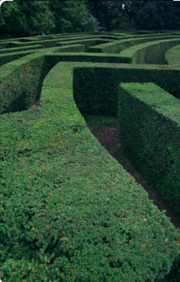 Asmild Plantecenter ApS modtager hækplanter i uge 42 – bestil nu for at sikre dine planter