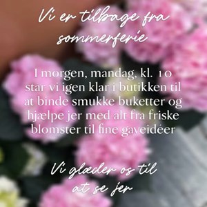 Opslagsbillede