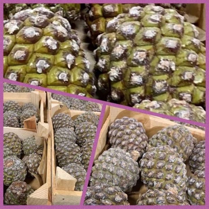 Hold trit med lokalområdet: Nyt fra Silkeborg