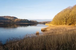 Kolding Kommune lancerer partnerskab for at forbedre økologien i Kolding Fjord