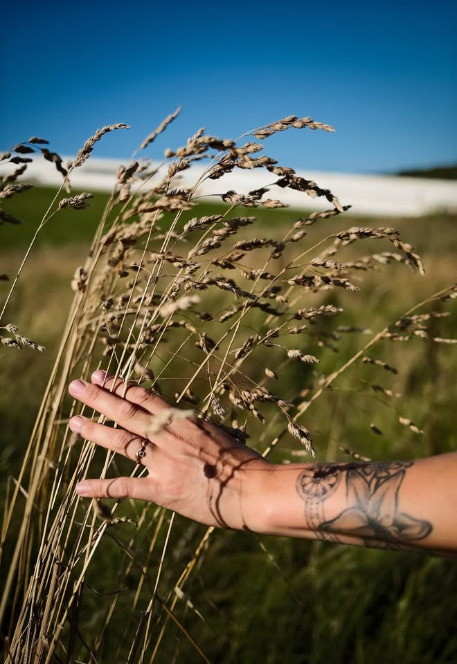 Blid start på dagen med Morgen-MediYoga i Kolind