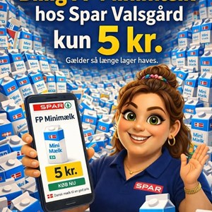 Opslagsbillede
