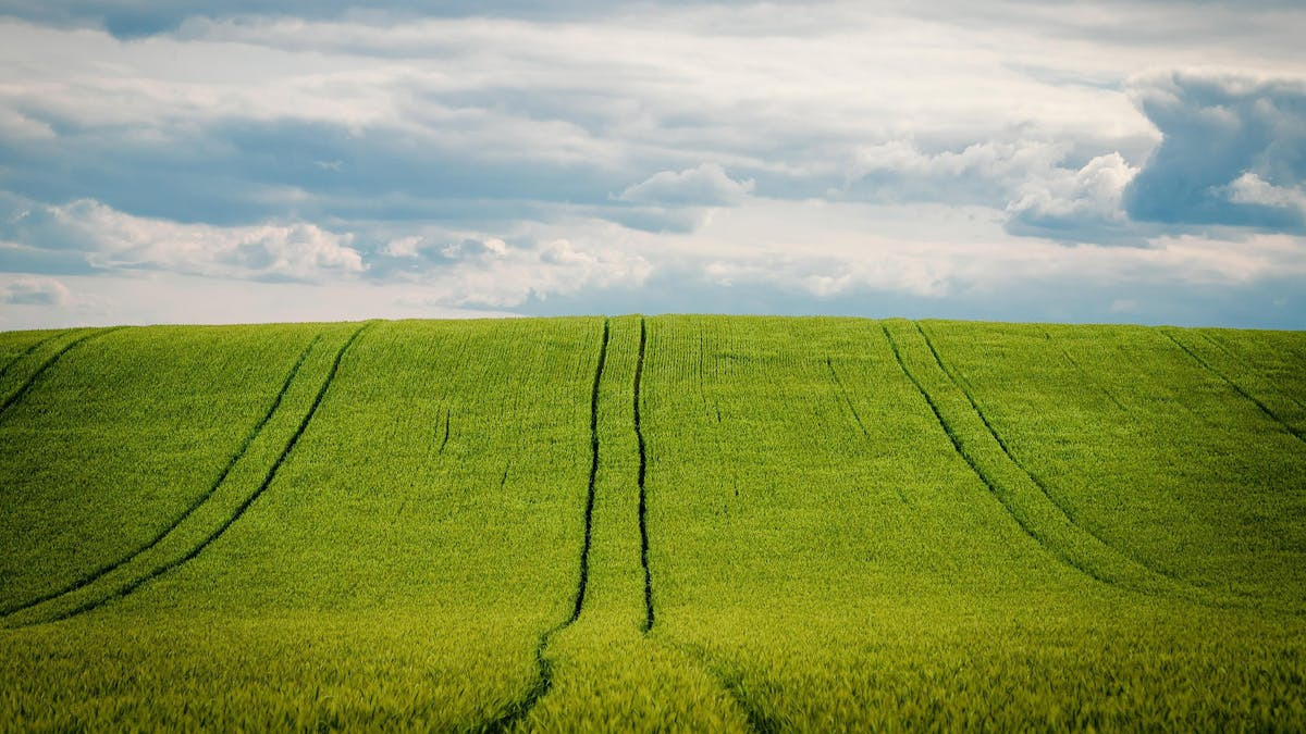 Temadag om batterianlæg på landbrug hos Sagro