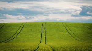 Temadag om batterianlæg på landbrug hos Sagro