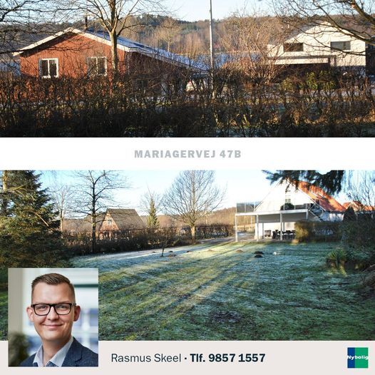 Dagens topnyheder på sociale medier fra dit område