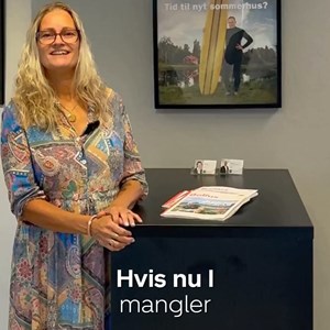Opslagsbillede