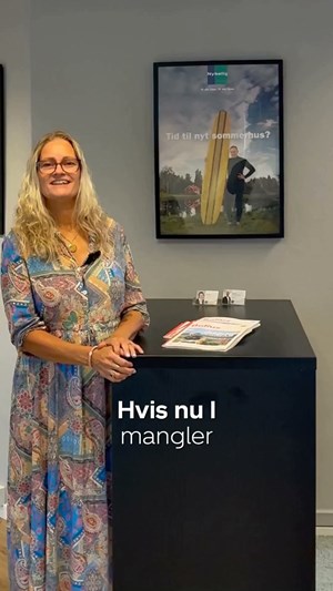 opslagsbillede