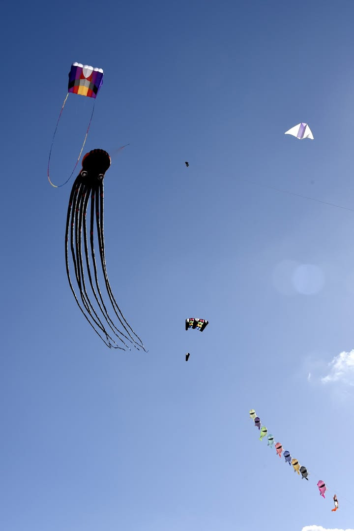 Erhverv og Turisme Kerteminde inviterer til åbent møde om oprettelse af kulturråd i kommunen