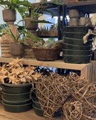 Tulipa Blomster & Havedesign inviterer til juleeventyr 2025 med tre magiske temaer