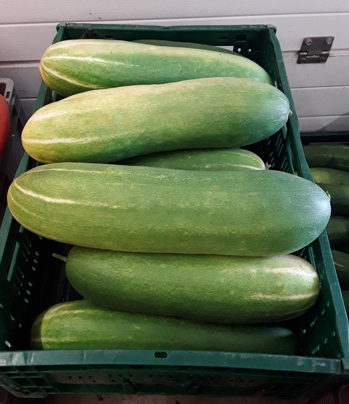 Det nyeste på Nørresundbys opslagstavle