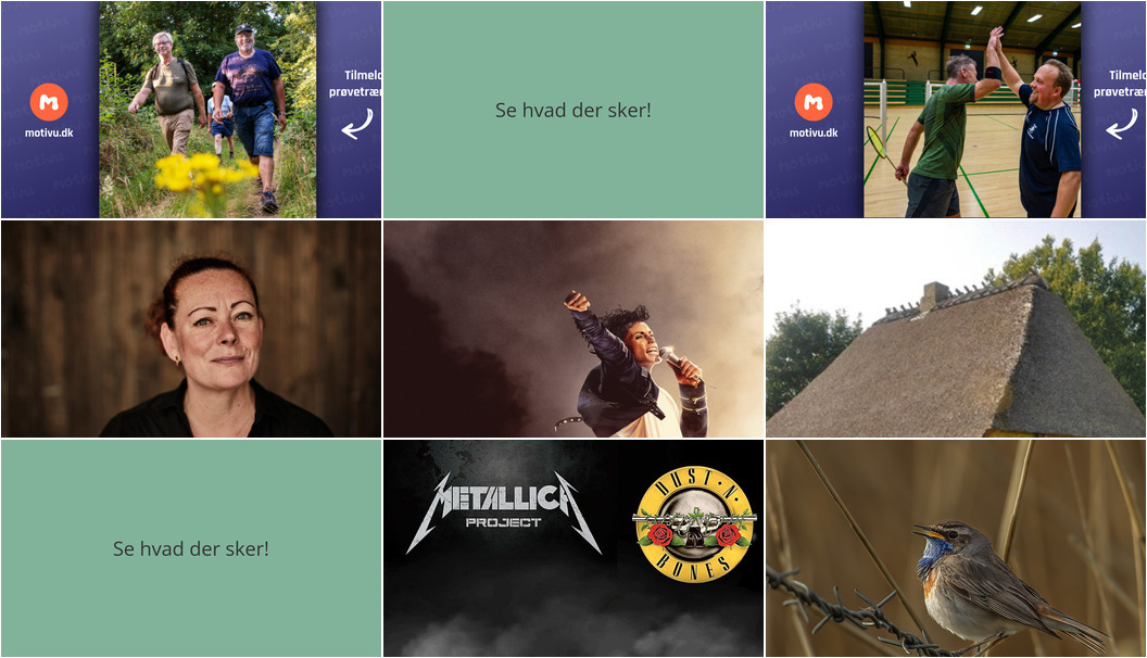 Begivenhedsrige Dage i Tønder: Musik, Kultur og Naturoplevelser