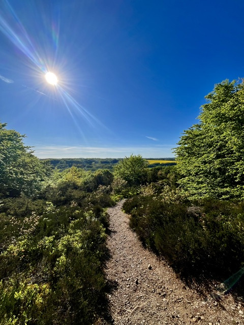 Foredrag om trailløb: Oplev naturen på nye måder