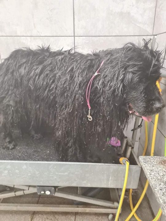 Hold trit med lokalområdet: Nyt fra Sæby