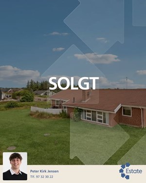 opslagsbillede