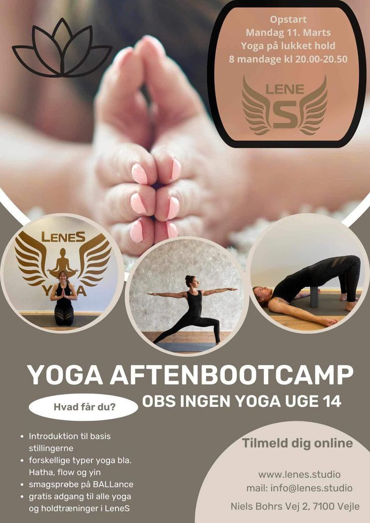 Opdatér dig her: Det nyeste fra Vejle