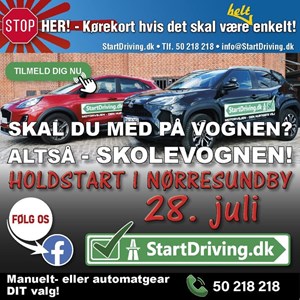 opslagsbillede
