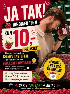 opslagsbillede